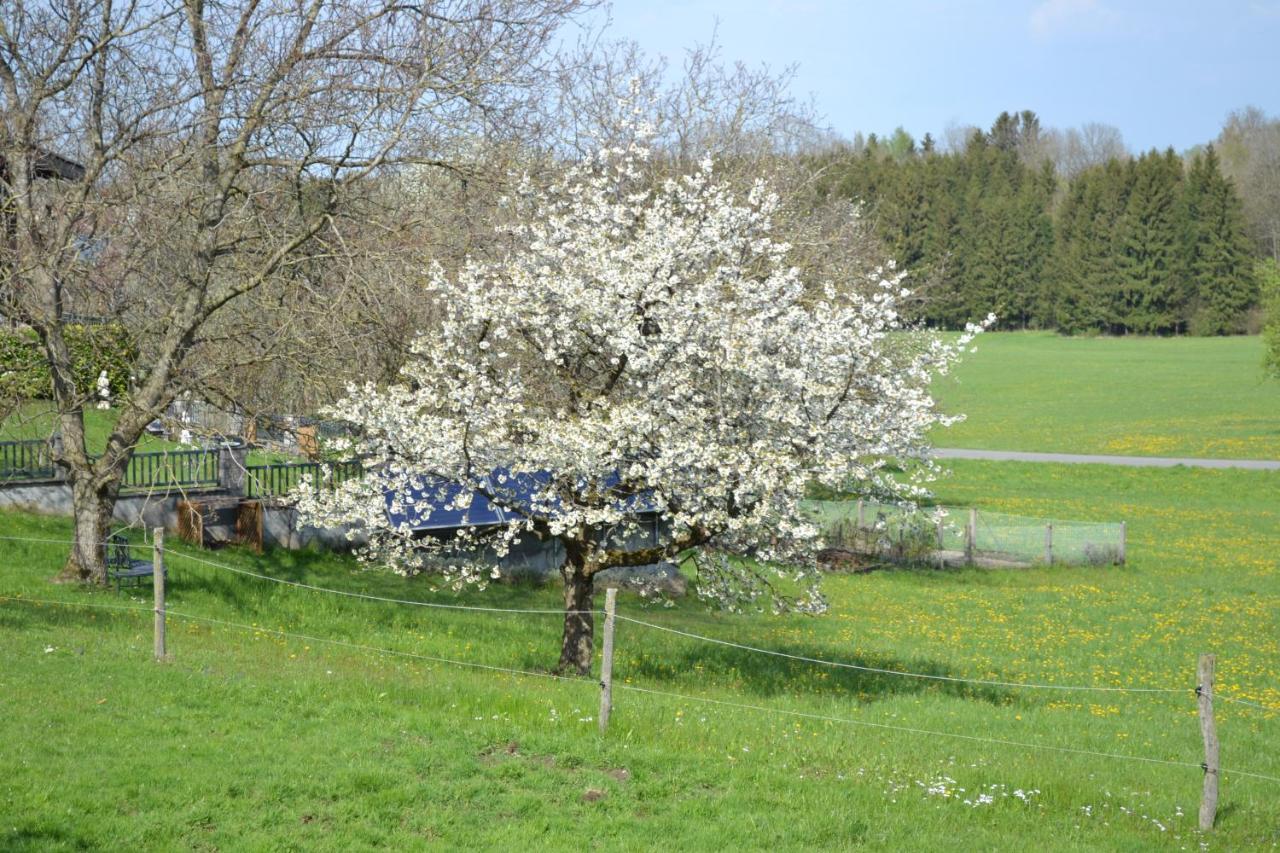 Aurach am HongarBiohof Auinger, Der Tiererlebnishofアパートメント エクステリア 写真