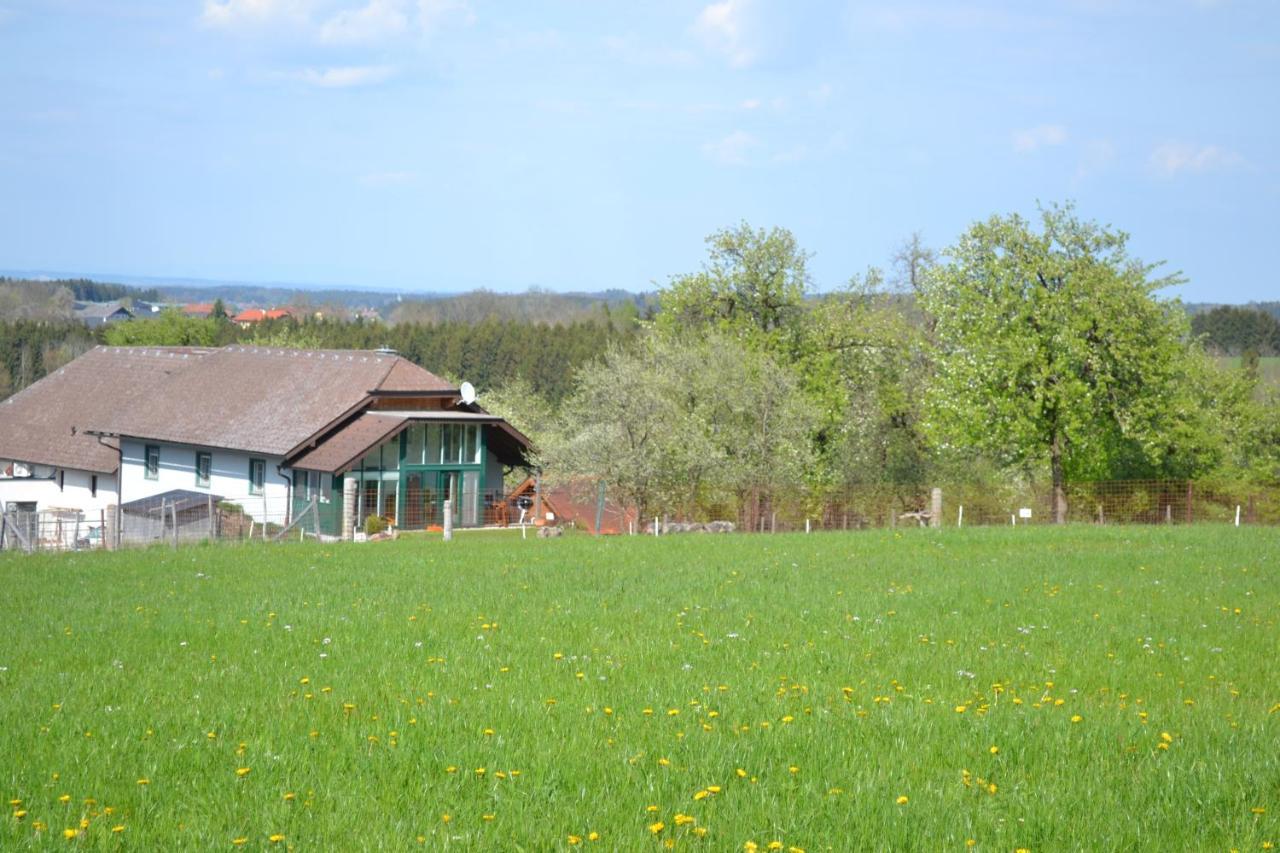 Aurach am HongarBiohof Auinger, Der Tiererlebnishofアパートメント エクステリア 写真