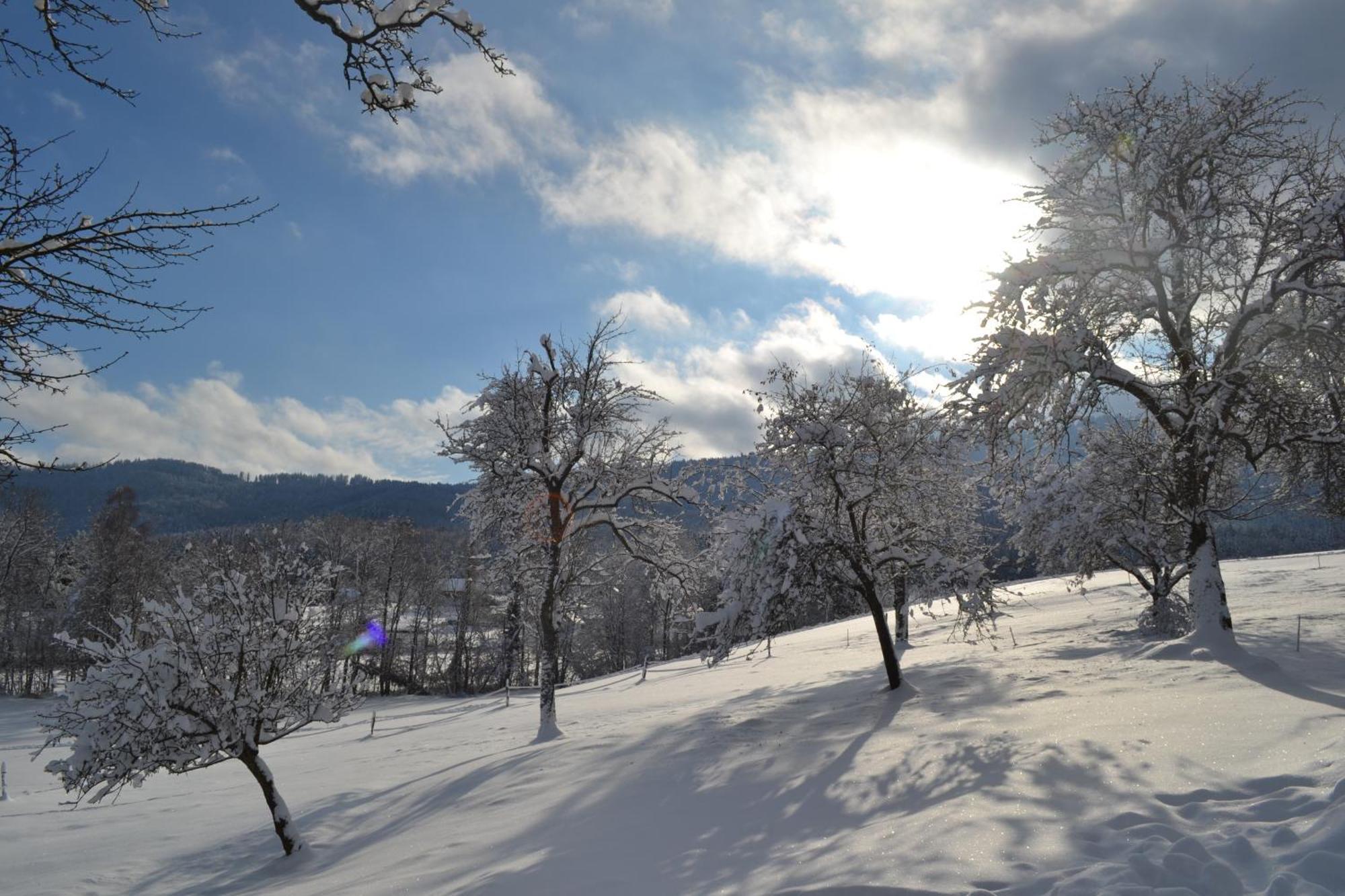 Aurach am HongarBiohof Auinger, Der Tiererlebnishofアパートメント エクステリア 写真