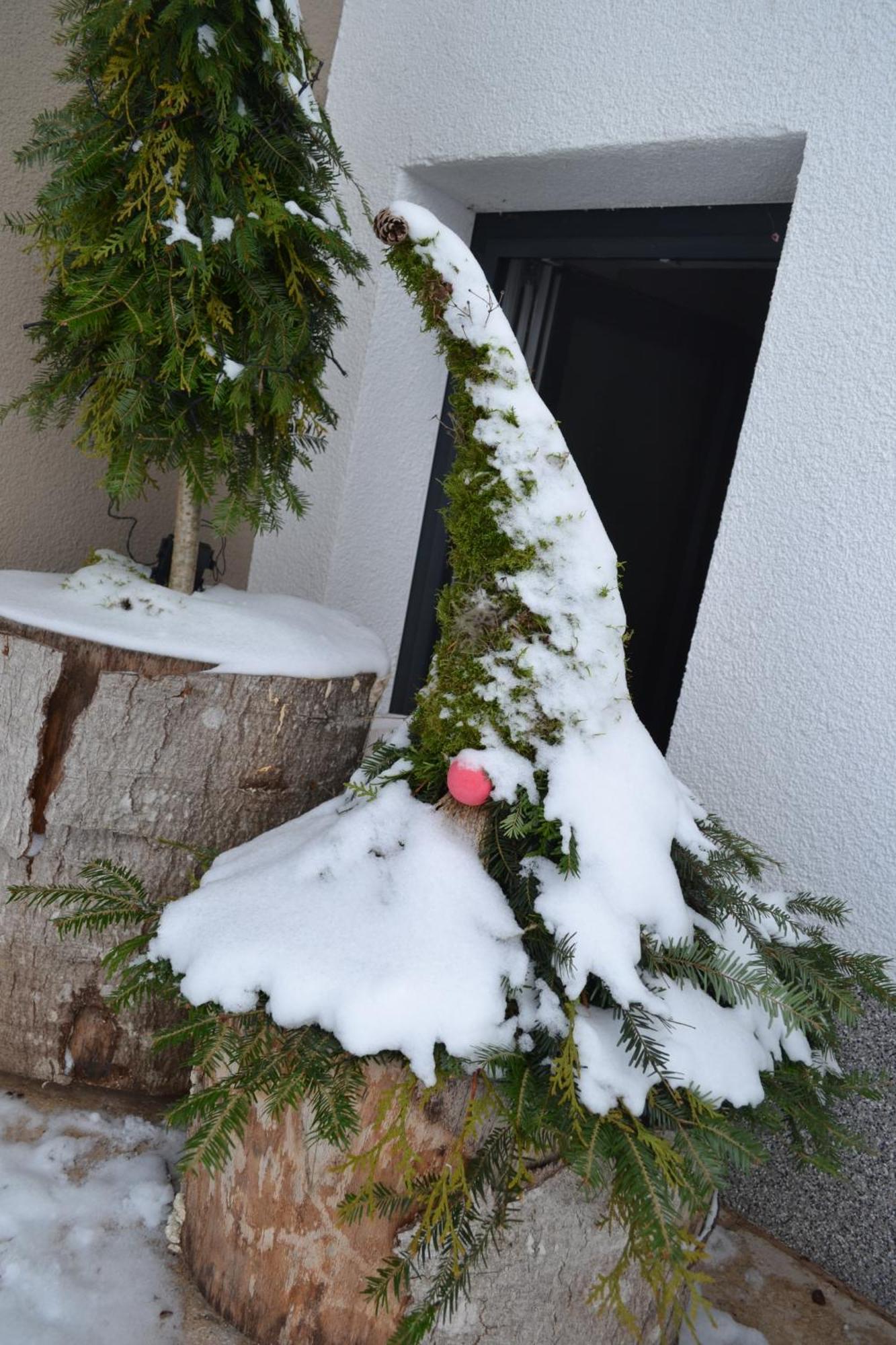 Aurach am HongarBiohof Auinger, Der Tiererlebnishofアパートメント エクステリア 写真